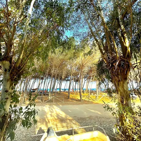 Le Corti Sarde On The 別荘